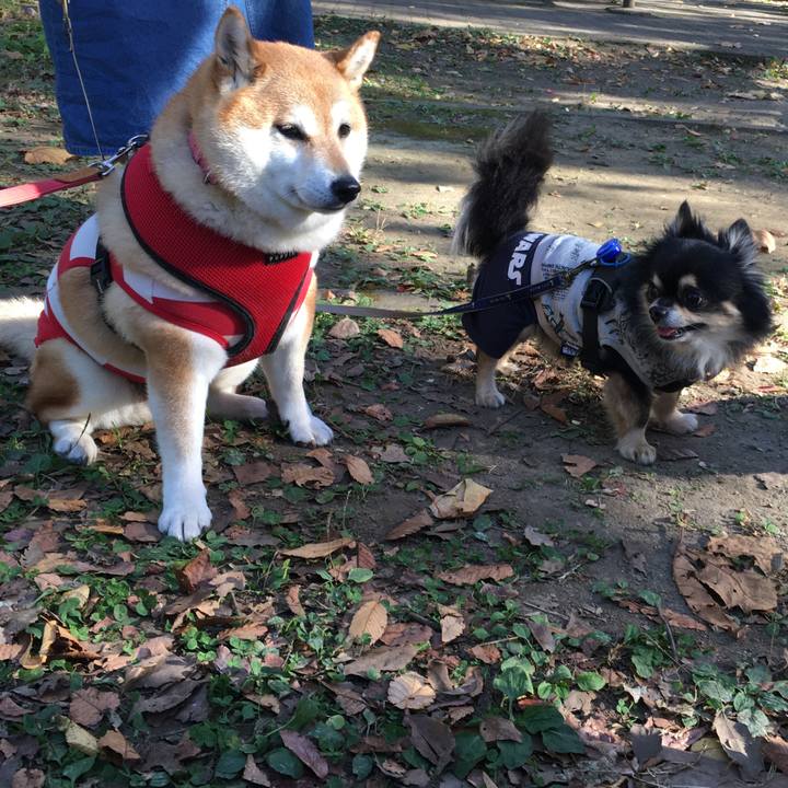 B1b632fe 462e 4987 b35d d28ea58addf8 1606549543202