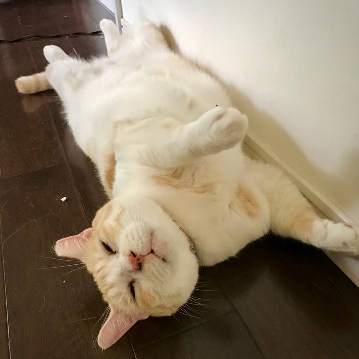 B1b633b7 abf2 4a9c b839 029286301c69 1630249897102