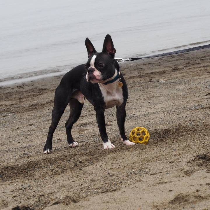 B1b643e8 8c56 4935 90be 01ff1ae49932 1563600233888