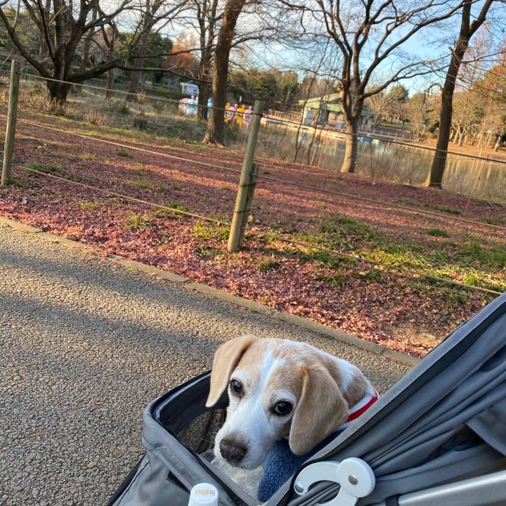 B1b68c21 8072 4b71 855a 6f0ec13aa637 1608879784307