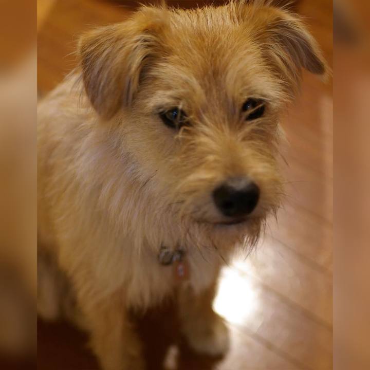 B1b6bc1c 8afd 4ab7 97df 33ff7369cf15 1645875351314