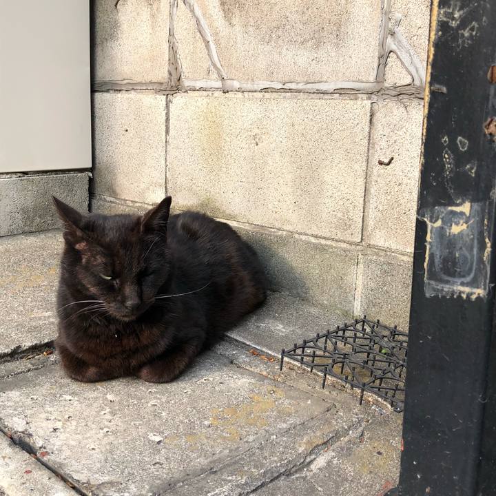 B1b6e4f1 7b53 484a b963 85f9235af5f7 1523618520197