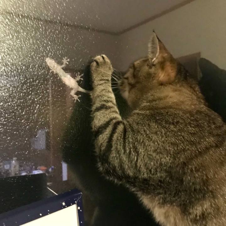 B1b72052 4e9a 43ec 8f0c 618420cf211b 1529239566872