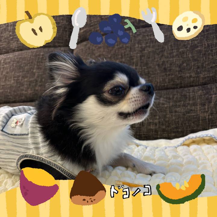 B1b72536 51ce 479e ad4c 2515436a3280 1727020655518