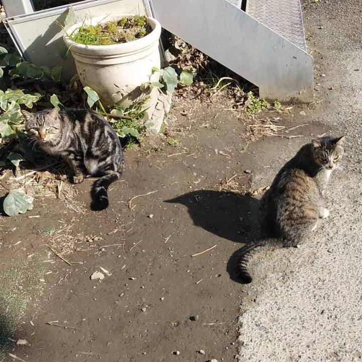 B1b7263b 869b 4f76 8ed4 272f7775fcea 1583199059076