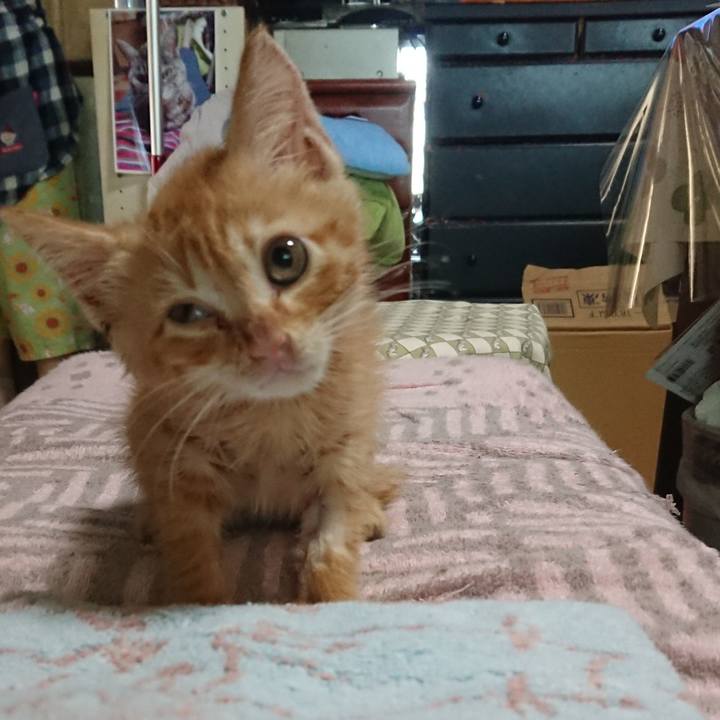 B1b743f8 6789 41cc bccf 9920eb048d2c 1627863771375