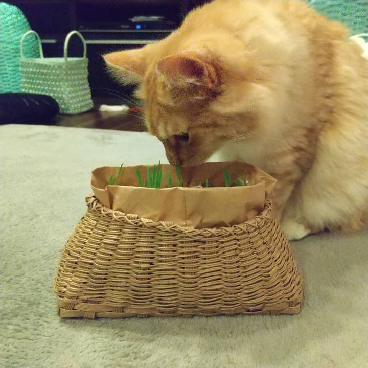 B1b7450b c9e3 42ee 8db3 9d847a691845 1627078367493