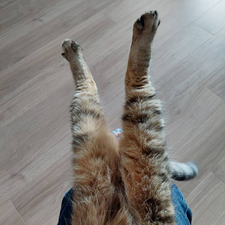 B1b7ddc9 b5c1 4585 a33a 73137a4a9a2d 1772837032313