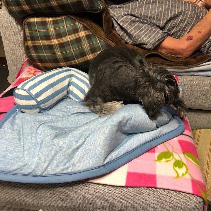 B1b8089a 5075 4229 97a6 323ddefa72ae 1687870548749