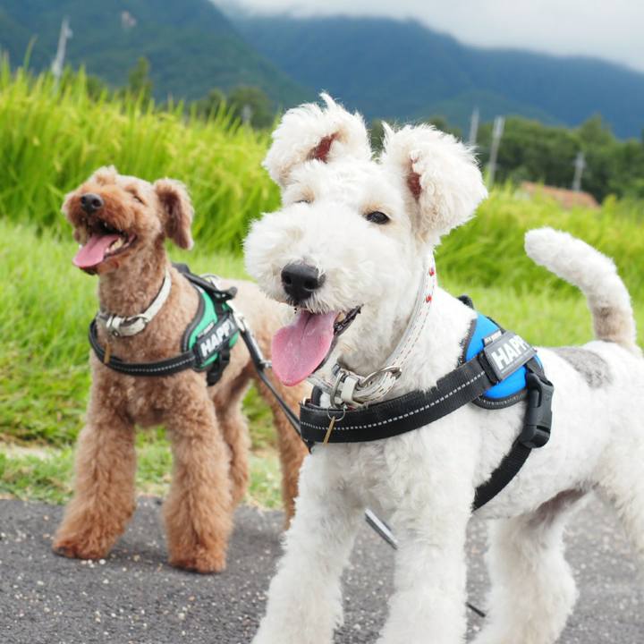 B1b815ca 8a48 434d 8724 68a8f19db49e 1533873827049