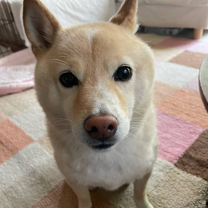 B1b81f48 fe29 48e1 9a74 0f145a4bbef8 1688509663452