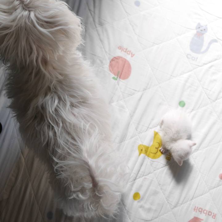 B1b82fec a9b4 4017 a1ae 3c0703448ac0 1603150179889