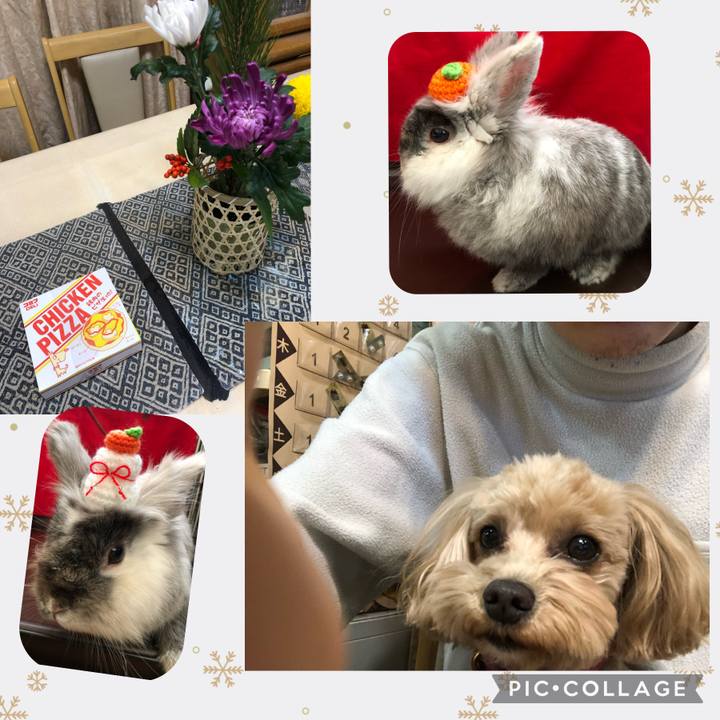 B1b836c4 5df6 4dc8 bdf8 2356e5613e77 1672740483942