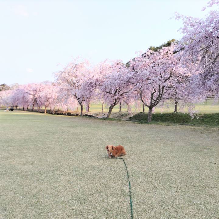 B1b88ef3 31d8 4ede af61 161678019aa9 1649335029945