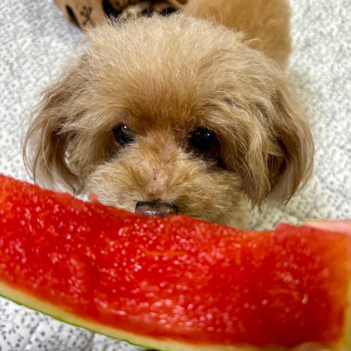 B1b895c6 660f 4ac3 b5c2 b1387c29b3ad 1755320517440