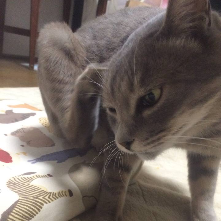 B1b89b9d 6f91 4907 978a cea0ecbe5af5 1509800054905