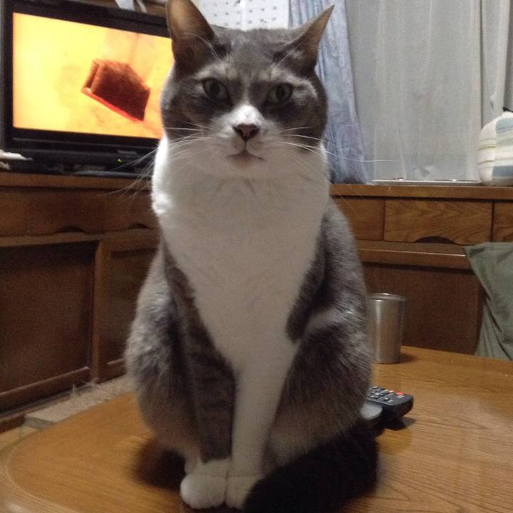 B1b8f1a6 acdc 4b5c a360 7c0a9d519b51 1515593544571