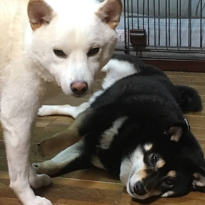 B1b91793 6c5c 4df9 a3bd 747a2b770de1 1515469033467