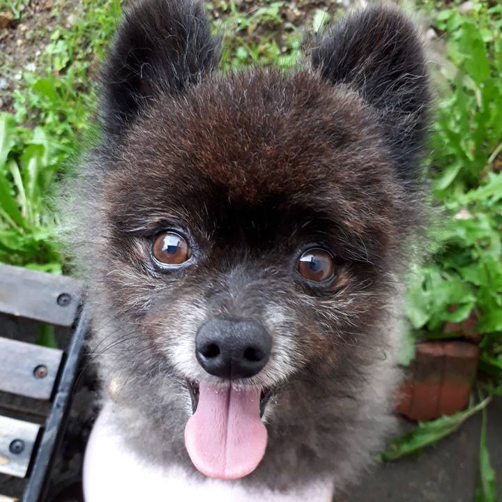 B1b918ab be47 4c1e bd18 fa3e33e60d8f 1563201767912