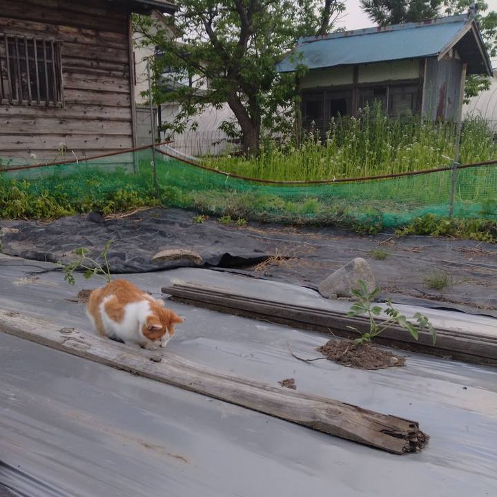 B1b93406 367c 41ad 8d1d ec77333cf793 1747820714148