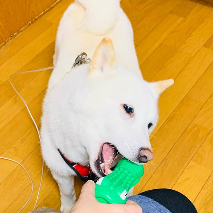 B1b9342a f62d 484b aa78 c5555c02ab0a 1610011532059