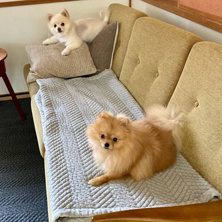 B1b9585f a56b 47b4 9199 0364b3fd5aee 1650928668656