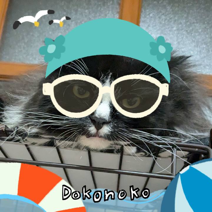 B1b989b0 dfbf 46f7 9a47 83f008fb619b 1723244118276