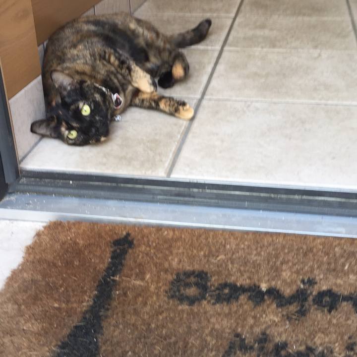 B1b98dcf 4265 4792 931b 10850c70c071 1523149723033