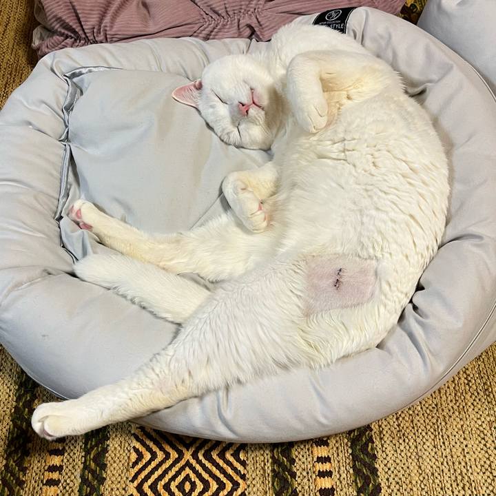 B1b9d30b 7897 41f9 905d bd7b2a1434c5 1672315462702