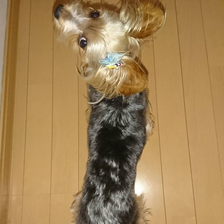 B1b9fccd 6e05 4bdb bf7d 66f073ca4ad1 1532651801326