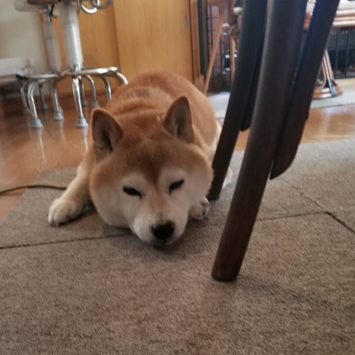 B1ba0e1a ef00 4398 a860 f9ed88304e3b 1692322602932