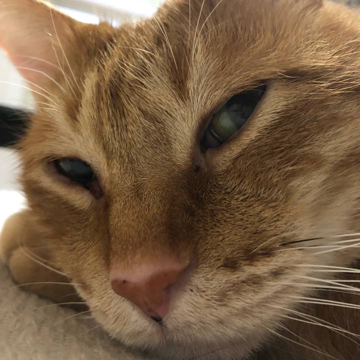 B1ba1781 e8ec 4f7a 90f7 c9c1bc579c6e 1608935261555