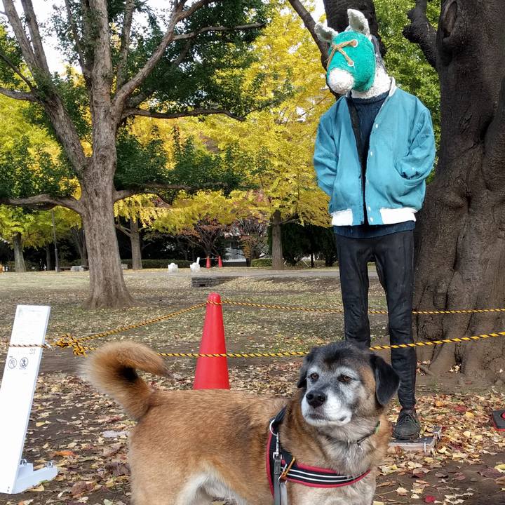 B1ba3352 7437 4955 8cfb ae513c366aa1 1732144103315