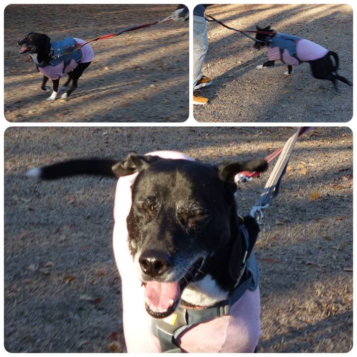 B1ba81f0 5d62 4d18 83c5 55d27897ad7c 1736295103778