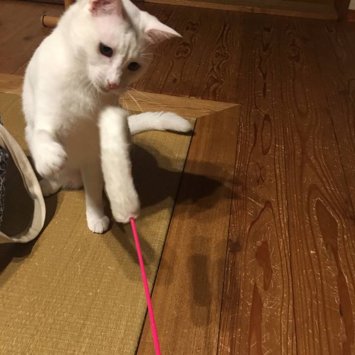 B1ba95fd 72bd 4fd4 814e 5441177e9c6a 1507913063305