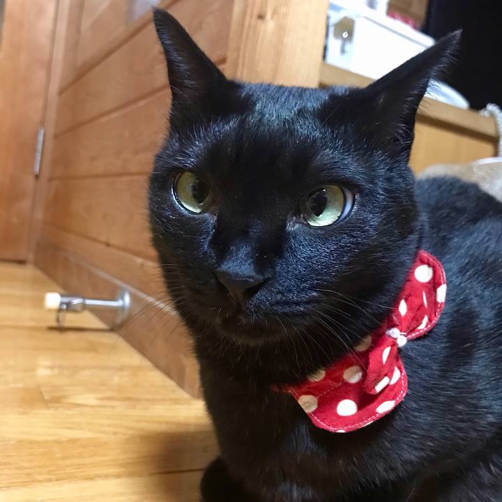 B1ba97dd 8c0c 4297 a617 147e423a0bb4 1553345786432