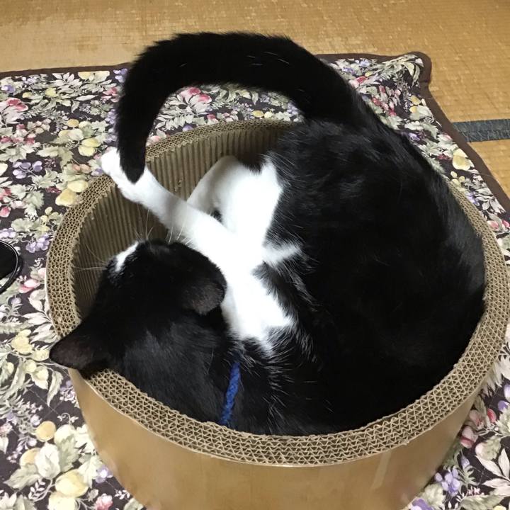 B1baaa02 2f94 4874 86bf 1f95a4f17cc0 1748084480361