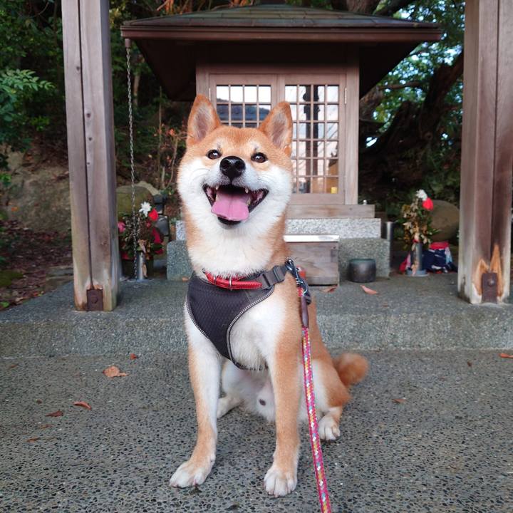 B1babbea 39c0 4ac0 bff5 80bda3803e09 1756463828238