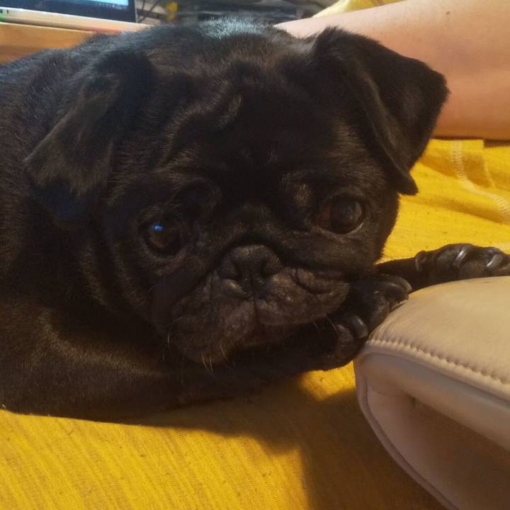 B1babf8c 1e9c 4c66 b7c7 ceb7cec92e95 1659844053146