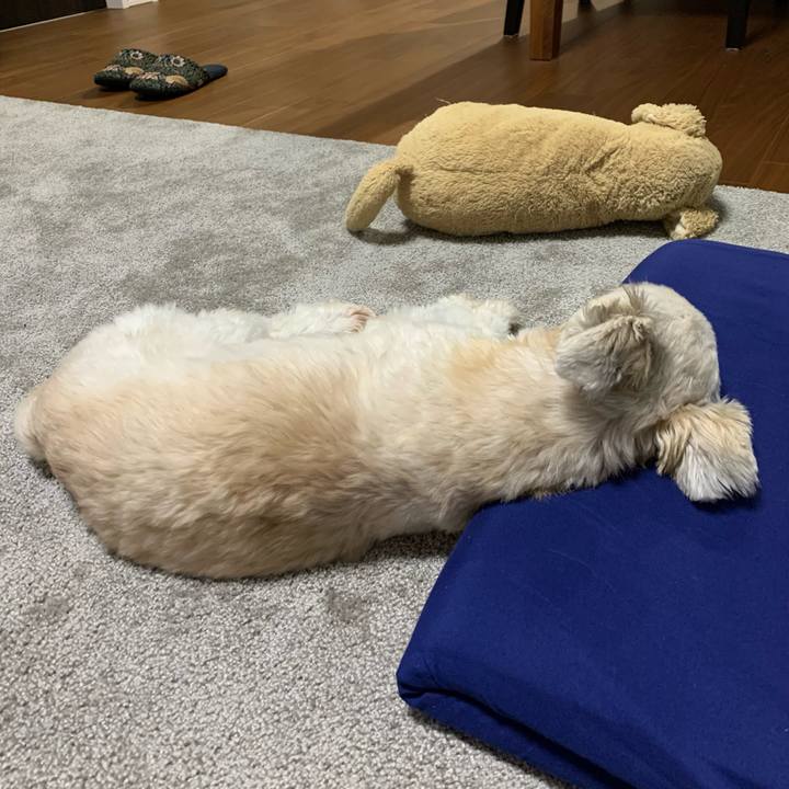 B1bad71d 634e 43a1 94b5 d3ec24f0d950 1640180839249