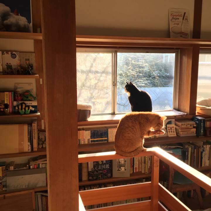 B1bb292e ca36 401a bdb0 f706b9f8608f 1549754112016