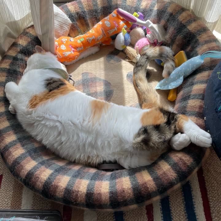 B1bb2b6b d580 423a 8cc0 df0613b9681f 1683265378112