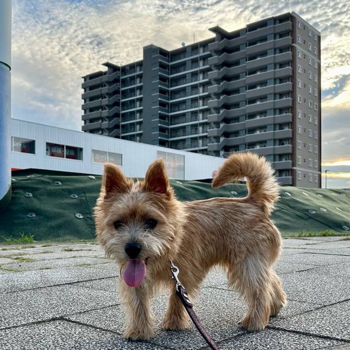 B1bb99d0 545c 4e92 b5b0 f68a20d60082 1723441137272