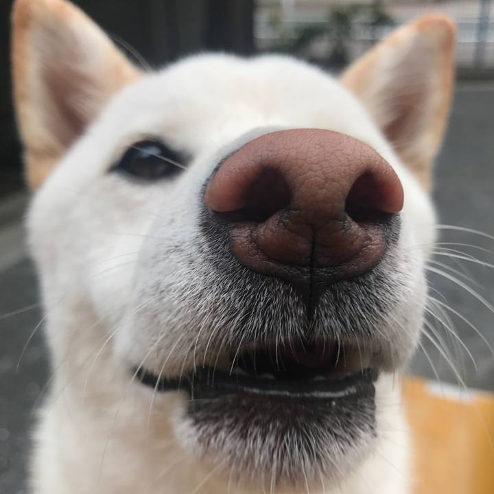 B1bb9af6 dc88 45dd 9072 8c1302f98c63 1523351617576