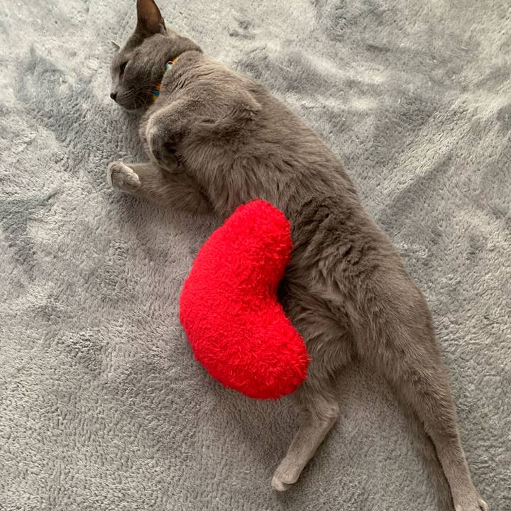 B1bbe28d f192 4bba a570 22130bb8b8cd 1626384432661