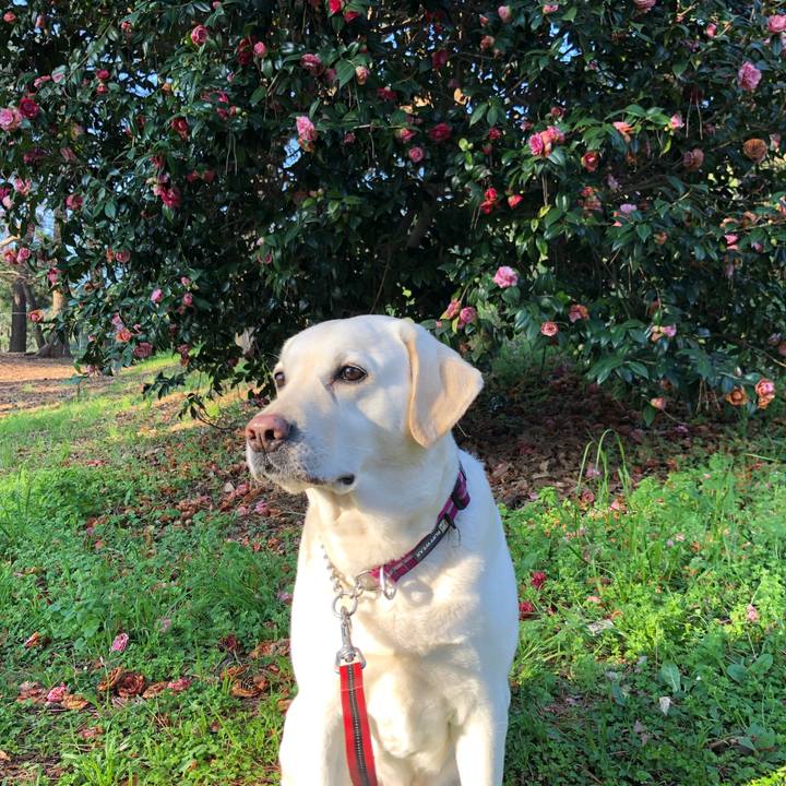 B1bbe8a4 25c6 40cf 979a 6433893951a5 1617236135731