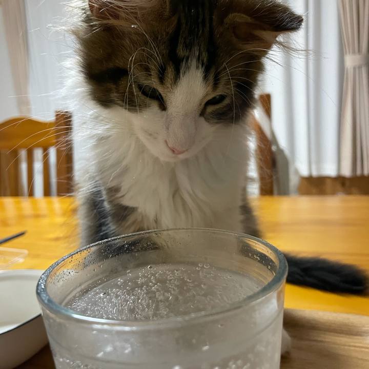 B1bc5e5e 38e8 4969 ac8d 6f64fa03720d 1633164043287