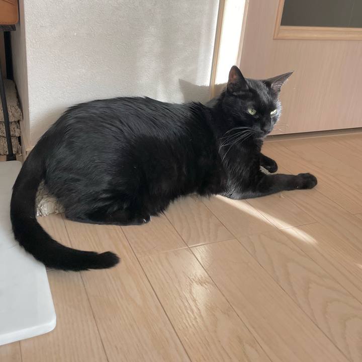 B1bc832e a438 47ef 9ff1 436d0b975d6d 1695000797888