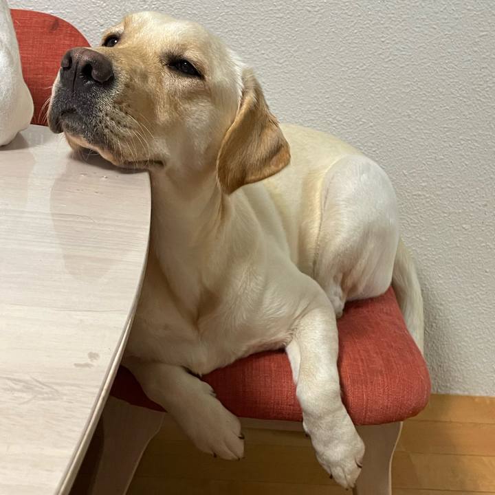 B1bc86ff 3c53 4af9 bdd0 3b88823e3ee3 1671628160120