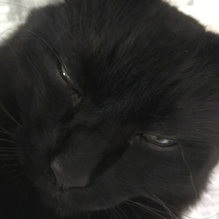 B1bc8c4f b39b 4d08 be49 6f438e13ef43 1536840037282